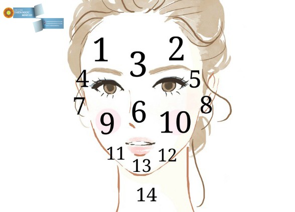 Bản đồ khuôn mặt được chia thành 14 khu và có sự kết nối tới cơ thể